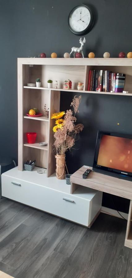 Apartman Mici Ниш Екстер'єр фото